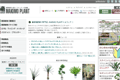 MAKIMO PLANT