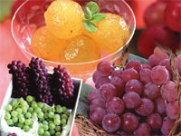 �R�`����{�̂������̂⌵�I�������������͂����܂����쉮
