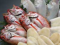�y���������z��銱�O��