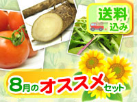 �W���̂��X�X���Z�b�g