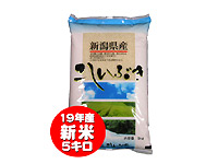�V�����Y�������Ԃ�5Kg