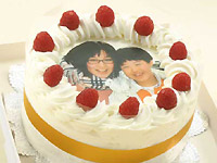 �ʐ^�P�[�L�@��