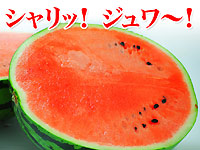 【母の日限定】カステラとフラワーボックス