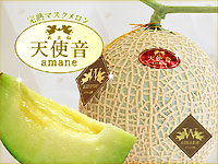 完熟マスクメロン「天使音(あまね)」 Shomeido