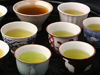 宇治茶十帖セット