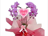 �X�^���_�[�h�T�{��