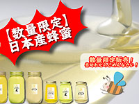 �y���ʌ���z���{�Y�I��