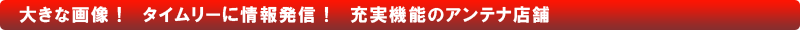 �傫�ȉ摜�I�^�C�����[�ɏ�񔭐M�I�@�[���@�\�̃A���e�i�X�܂͌��X1050�~����