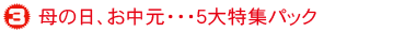 �T����W�p�b�N�@�Q���I�v�V����